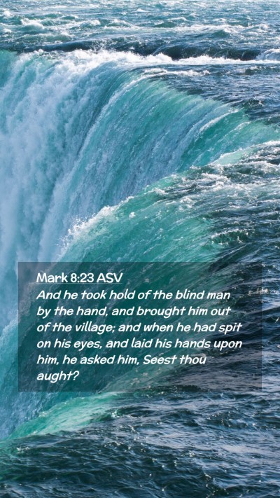 Picture 02 - Mark 8:23 ASV Mobile Phone Wallpaper - And he took hold of the blind man by the hand, - Mobile Bible Verse Wallpaper