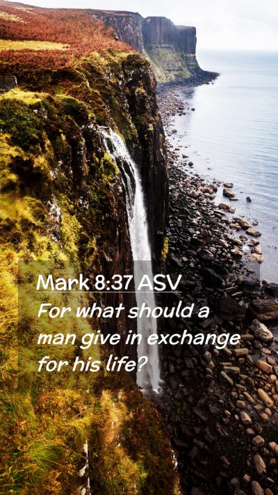 Picture 02 - Mark 8:37 ASV Mobile Phone Wallpaper - For what should a man give in exchange for his - Mobile Bible Verse Wallpaper