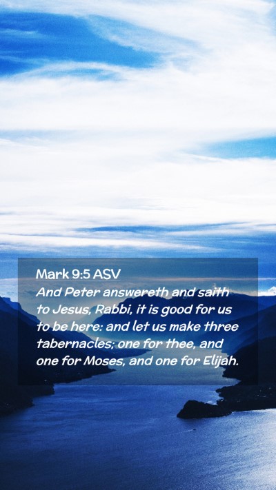 Picture 02 - Mark 9:5 ASV Mobile Phone Wallpaper - And Peter answereth and saith to Jesus, Rabbi, it - Mobile Bible Verse Wallpaper