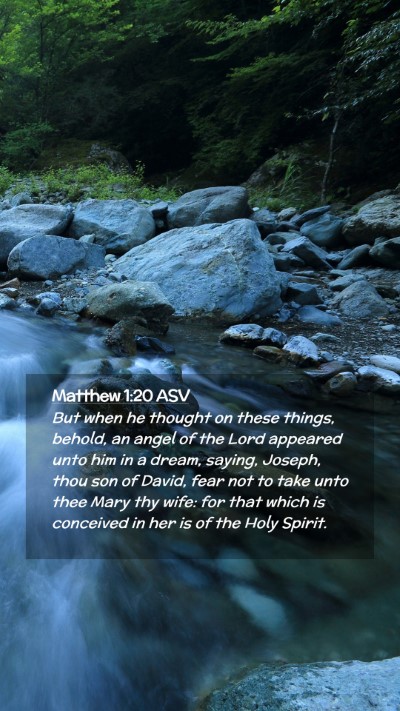 Picture 02 - Matthew 1:20 ASV Mobile Phone Wallpaper - But when he thought on these things, behold, an - Mobile Bible Verse Wallpaper