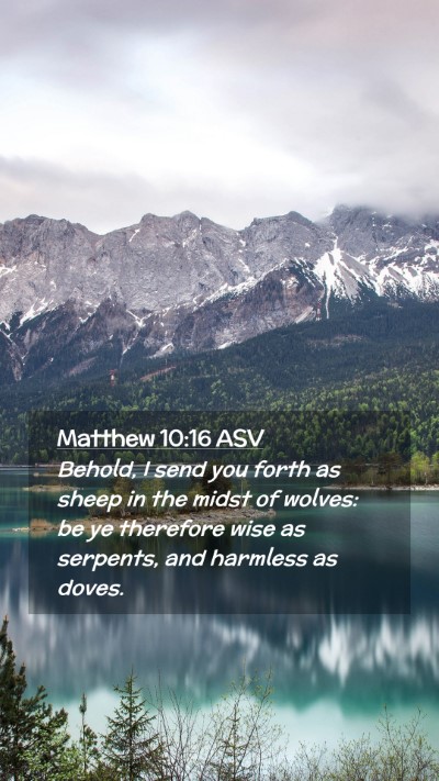 Picture 02 - Matthew 10:16 ASV Mobile Phone Wallpaper - Behold, I send you forth as sheep in the midst of - Mobile Bible Verse Wallpaper