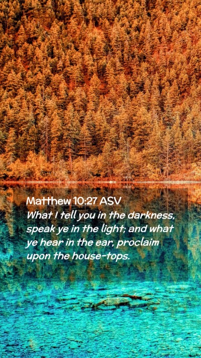 Picture 02 - Matthew 10:27 ASV Mobile Phone Wallpaper - What I tell you in the darkness, speak ye in the - Mobile Bible Verse Wallpaper
