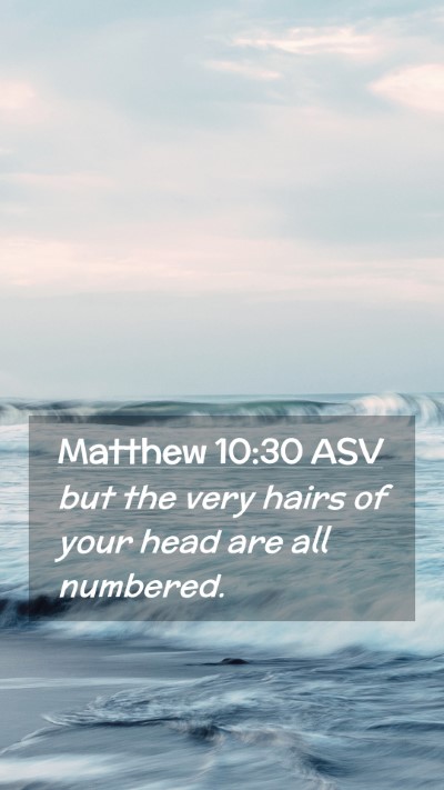 Picture 02 - Matthew 10:30 ASV Mobile Phone Wallpaper - but the very hairs of your head are all - Mobile Bible Verse Wallpaper