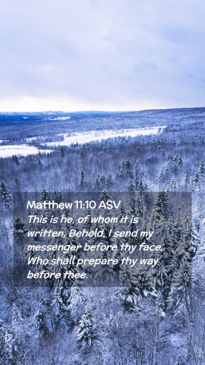 Picture 02 - Matthew 11:10 ASV Mobile Phone Wallpaper - This is he, of whom it is written, Behold, I send - Mobile Bible Verse Wallpaper