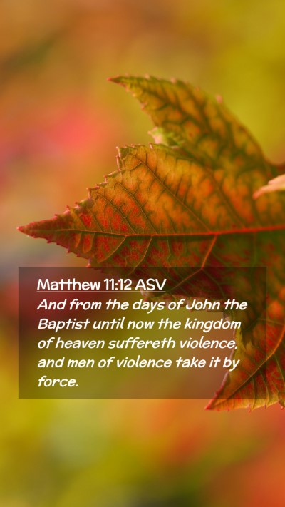 Picture 02 - Matthew 11:12 ASV Mobile Phone Wallpaper - And from the days of John the Baptist until now - Mobile Bible Verse Wallpaper
