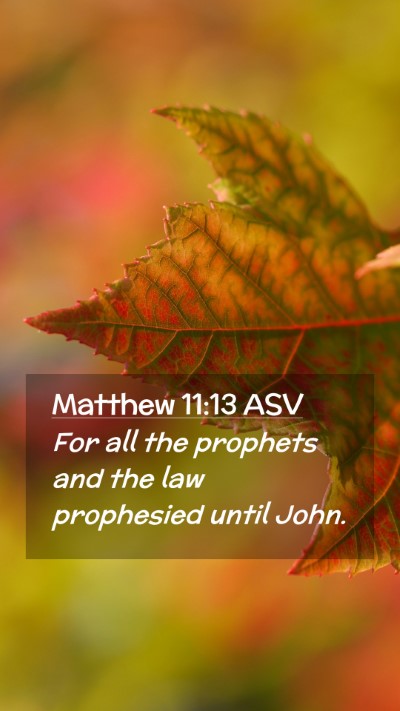 Picture 02 - Matthew 11:13 ASV Mobile Phone Wallpaper - For all the prophets and the law prophesied until - Mobile Bible Verse Wallpaper