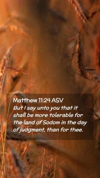 Picture 02 - Matthew 11:24 ASV Mobile Phone Wallpaper - But I say unto you that it shall be more - Mobile Bible Verse Wallpaper