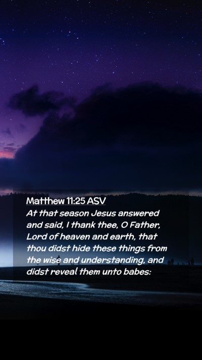 Picture 02 - Matthew 11:25 ASV Mobile Phone Wallpaper - At that season Jesus answered and said, I thank - Mobile Bible Verse Wallpaper