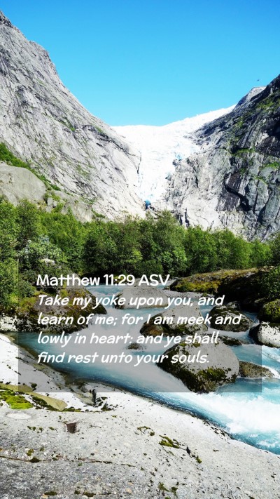 Picture 02 - Matthew 11:29 ASV Mobile Phone Wallpaper - Take my yoke upon you, and learn of me; for I am - Mobile Bible Verse Wallpaper