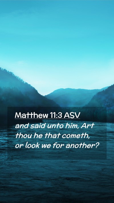Picture 02 - Matthew 11:3 ASV Mobile Phone Wallpaper - and said unto him, Art thou he that cometh, or - Mobile Bible Verse Wallpaper