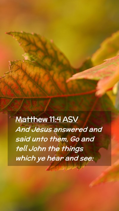 Picture 02 - Matthew 11:4 ASV Mobile Phone Wallpaper - And Jesus answered and said unto them, Go and - Mobile Bible Verse Wallpaper
