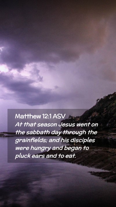 Picture 02 - Matthew 12:1 ASV Mobile Phone Wallpaper - At that season Jesus went on the sabbath day - Mobile Bible Verse Wallpaper