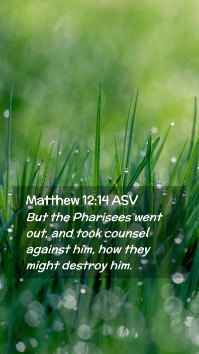 Picture 02 - Matthew 12:14 ASV Mobile Phone Wallpaper - But the Pharisees went out, and took counsel - Mobile Bible Verse Wallpaper