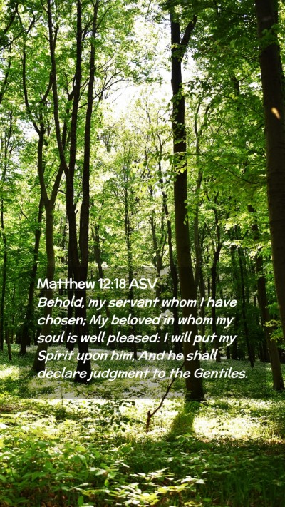Picture 02 - Matthew 12:18 ASV Mobile Phone Wallpaper - Behold, my servant whom I have chosen; My beloved - Mobile Bible Verse Wallpaper