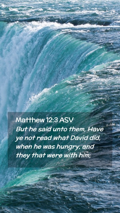 Picture 02 - Matthew 12:3 ASV Mobile Phone Wallpaper - But he said unto them, Have ye not read what - Mobile Bible Verse Wallpaper