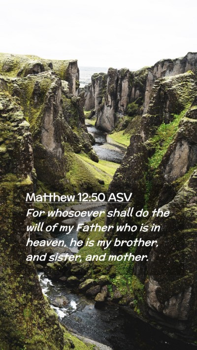 Picture 02 - Matthew 12:50 ASV Mobile Phone Wallpaper - For whosoever shall do the will of my Father who - Mobile Bible Verse Wallpaper