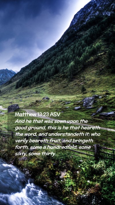 Picture 02 - Matthew 13:23 ASV Mobile Phone Wallpaper - And he that was sown upon the good ground, this - Mobile Bible Verse Wallpaper