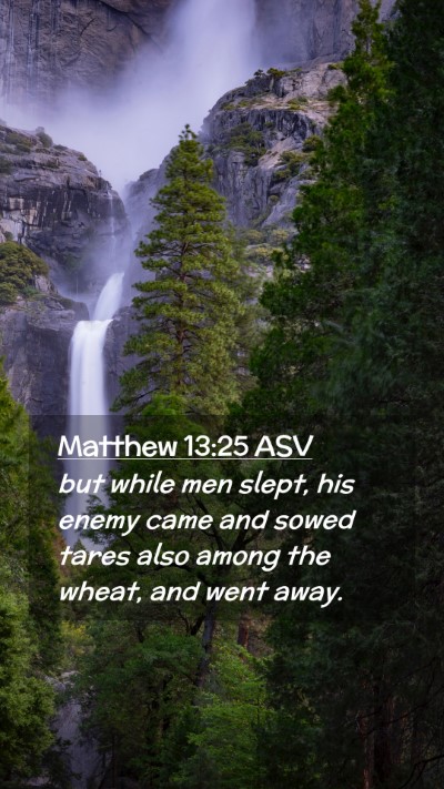 Picture 02 - Matthew 13:25 ASV Mobile Phone Wallpaper - but while men slept, his enemy came and sowed - Mobile Bible Verse Wallpaper