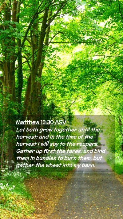Picture 02 - Matthew 13:30 ASV Mobile Phone Wallpaper - Let both grow together until the harvest: and in - Mobile Bible Verse Wallpaper