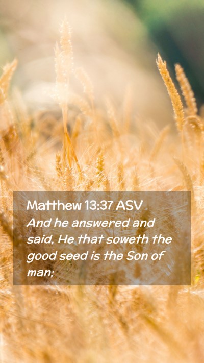 Picture 02 - Matthew 13:37 ASV Mobile Phone Wallpaper - And he answered and said, He that soweth the good - Mobile Bible Verse Wallpaper