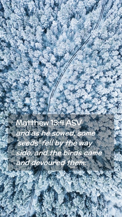 Picture 02 - Matthew 13:4 ASV Mobile Phone Wallpaper - and as he sowed, some `seeds' fell by the way - Mobile Bible Verse Wallpaper