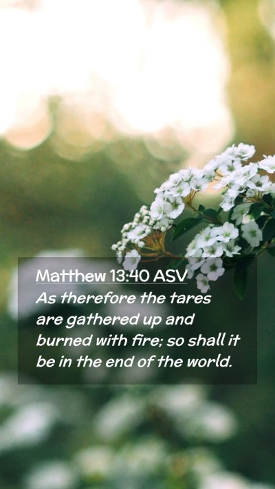 Picture 02 - Matthew 13:40 ASV Mobile Phone Wallpaper - As therefore the tares are gathered up and burned - Mobile Bible Verse Wallpaper