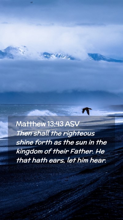 Picture 02 - Matthew 13:43 ASV Mobile Phone Wallpaper - Then shall the righteous shine forth as the sun - Mobile Bible Verse Wallpaper