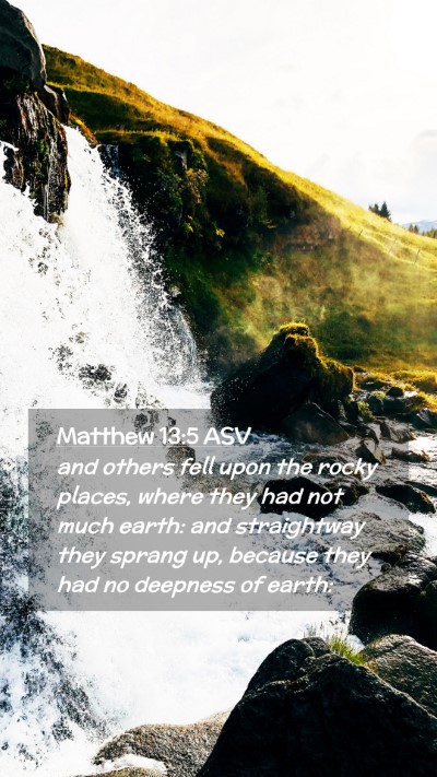Picture 02 - Matthew 13:5 ASV Mobile Phone Wallpaper - and others fell upon the rocky places, where they - Mobile Bible Verse Wallpaper