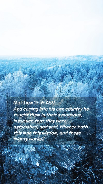 Picture 02 - Matthew 13:54 ASV Mobile Phone Wallpaper - And coming into his own country he taught them in - Mobile Bible Verse Wallpaper
