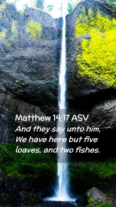 Picture 02 - Matthew 14:17 ASV Mobile Phone Wallpaper - And they say unto him, We have here but five - Mobile Bible Verse Wallpaper