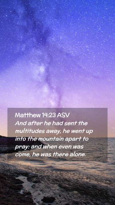 Picture 02 - Matthew 14:23 ASV Mobile Phone Wallpaper - And after he had sent the multitudes away, he - Mobile Bible Verse Wallpaper
