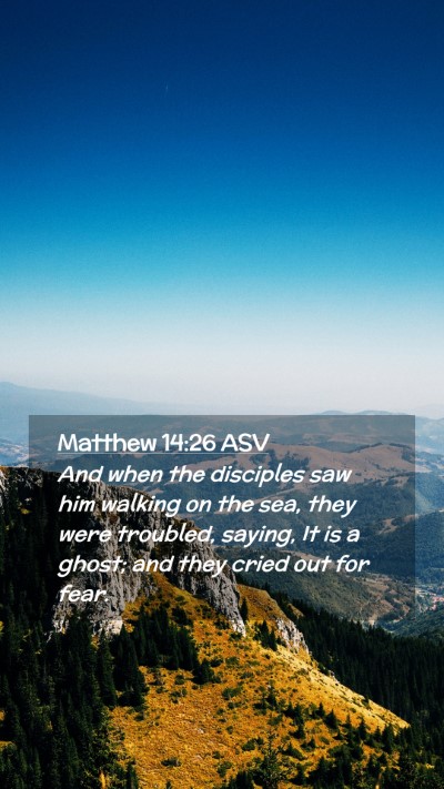 Picture 02 - Matthew 14:26 ASV Mobile Phone Wallpaper - And when the disciples saw him walking on the - Mobile Bible Verse Wallpaper