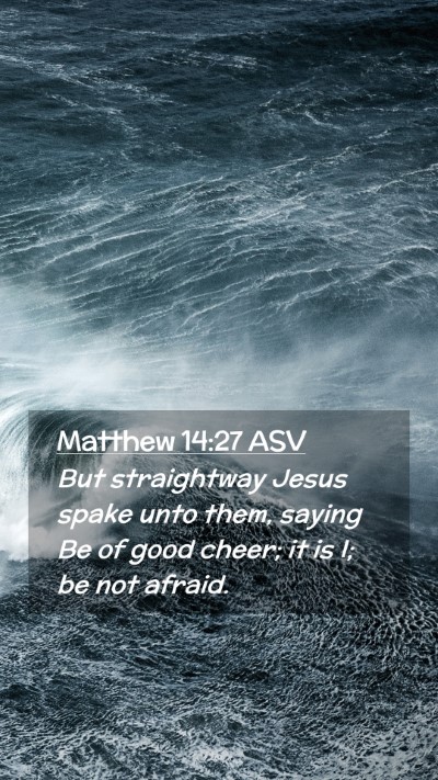 Picture 02 - Matthew 14:27 ASV Mobile Phone Wallpaper - But straightway Jesus spake unto them, saying Be - Mobile Bible Verse Wallpaper
