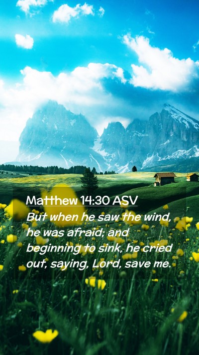 Picture 02 - Matthew 14:30 ASV Mobile Phone Wallpaper - But when he saw the wind, he was afraid; and - Mobile Bible Verse Wallpaper