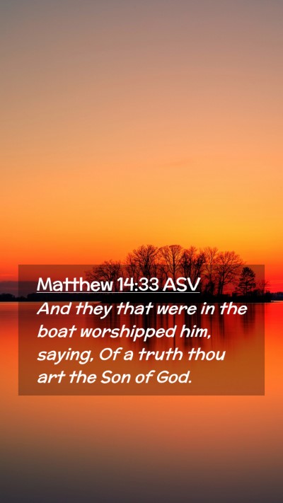 Picture 02 - Matthew 14:33 ASV Mobile Phone Wallpaper - And they that were in the boat worshipped him, - Mobile Bible Verse Wallpaper