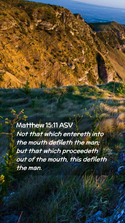 Picture 02 - Matthew 15:11 ASV Mobile Phone Wallpaper - Not that which entereth into the mouth defileth - Mobile Bible Verse Wallpaper