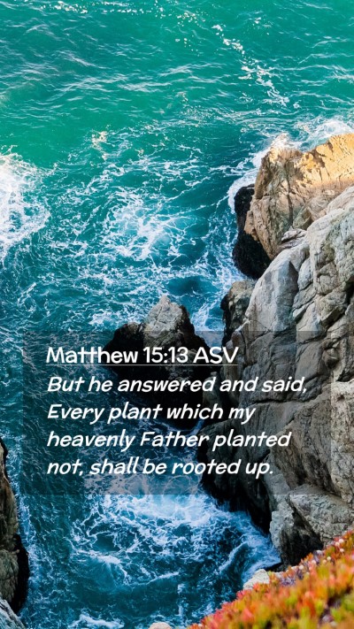 Picture 02 - Matthew 15:13 ASV Mobile Phone Wallpaper - But he answered and said, Every plant which my - Mobile Bible Verse Wallpaper