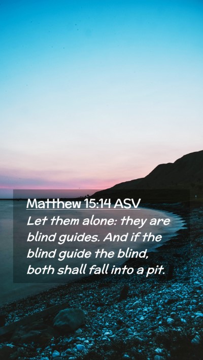 Picture 02 - Matthew 15:14 ASV Mobile Phone Wallpaper - Let them alone: they are blind guides. And if the - Mobile Bible Verse Wallpaper