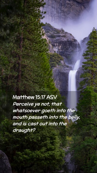 Picture 02 - Matthew 15:17 ASV Mobile Phone Wallpaper - Perceive ye not, that whatsoever goeth into the - Mobile Bible Verse Wallpaper