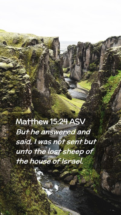 Picture 02 - Matthew 15:24 ASV Mobile Phone Wallpaper - But he answered and said, I was not sent but unto - Mobile Bible Verse Wallpaper