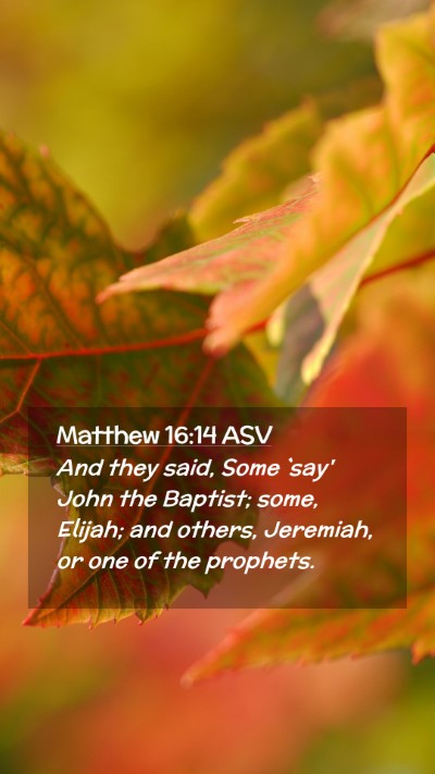 Picture 02 - Matthew 16:14 ASV Mobile Phone Wallpaper - And they said, Some `say' John the Baptist; some, - Mobile Bible Verse Wallpaper