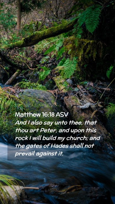 Picture 02 - Matthew 16:18 ASV Mobile Phone Wallpaper - And I also say unto thee, that thou art Peter, - Mobile Bible Verse Wallpaper