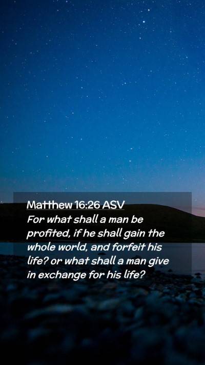 Picture 02 - Matthew 16:26 ASV Mobile Phone Wallpaper - For what shall a man be profited, if he shall - Mobile Bible Verse Wallpaper