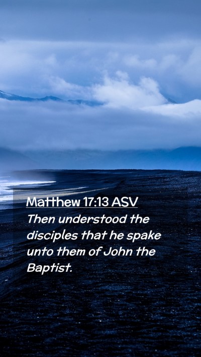 Picture 02 - Matthew 17:13 ASV Mobile Phone Wallpaper - Then understood the disciples that he spake unto - Mobile Bible Verse Wallpaper