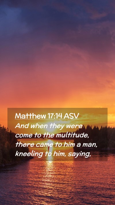 Picture 02 - Matthew 17:14 ASV Mobile Phone Wallpaper - And when they were come to the multitude, there - Mobile Bible Verse Wallpaper