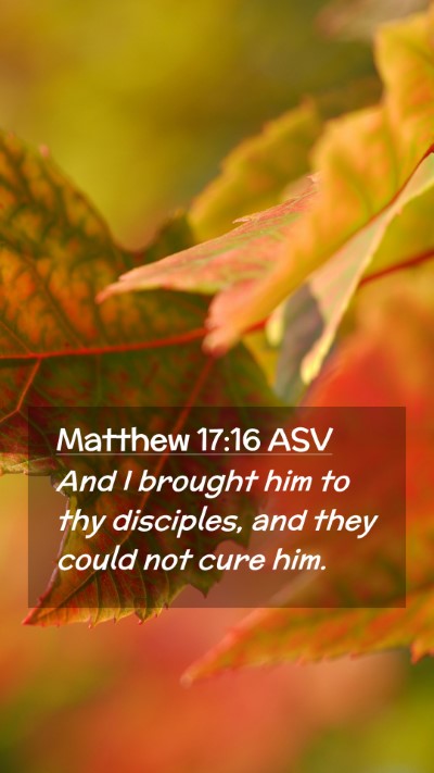 Picture 02 - Matthew 17:16 ASV Mobile Phone Wallpaper - And I brought him to thy disciples, and they - Mobile Bible Verse Wallpaper
