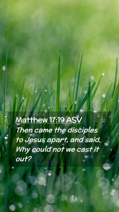 Picture 02 - Matthew 17:19 ASV Mobile Phone Wallpaper - Then came the disciples to Jesus apart, and said, - Mobile Bible Verse Wallpaper