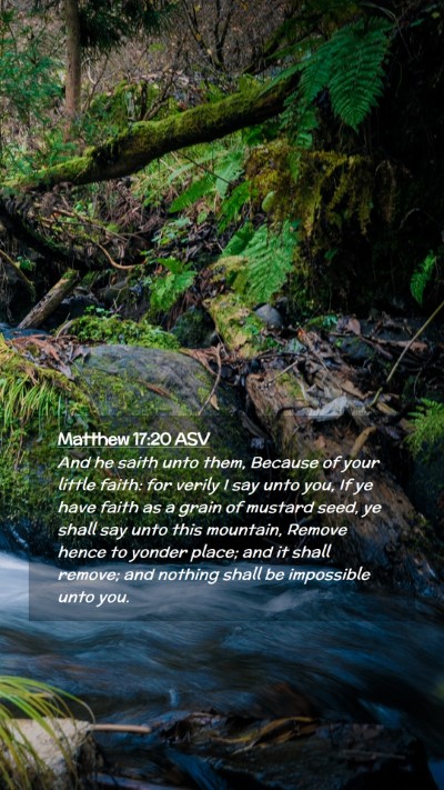 Picture 02 - Matthew 17:20 ASV Mobile Phone Wallpaper - And he saith unto them, Because of your little - Mobile Bible Verse Wallpaper