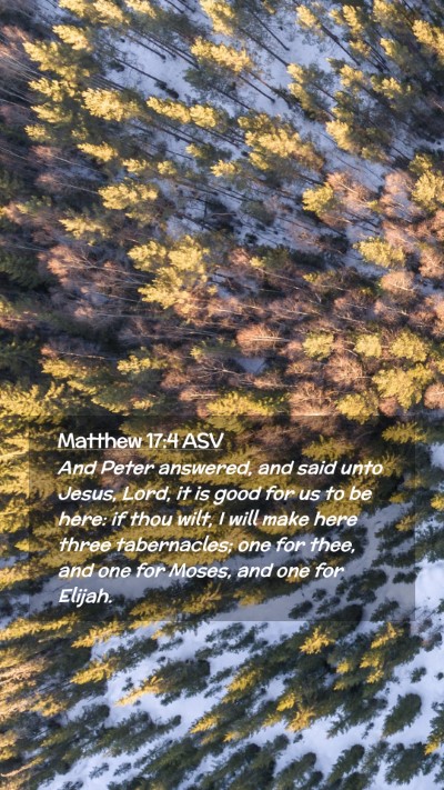 Picture 02 - Matthew 17:4 ASV Mobile Phone Wallpaper - And Peter answered, and said unto Jesus, Lord, it - Mobile Bible Verse Wallpaper