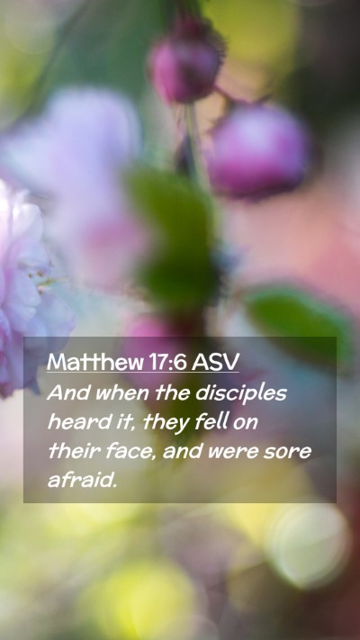 Picture 02 - Matthew 17:6 ASV Mobile Phone Wallpaper - And when the disciples heard it, they fell on - Mobile Bible Verse Wallpaper